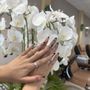 Photo of Lucky Angel Nails