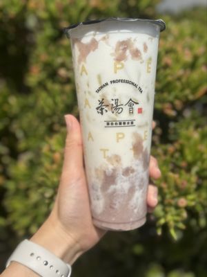 TP TEA – San Diego by null