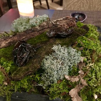Elements - Mushrooms - New American Near Me - Princeton, New Jersey