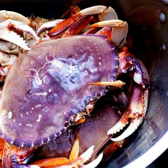 Foodnet Supermarket - a large crab in a bowl - Grocery Near Me - San Leandro, California