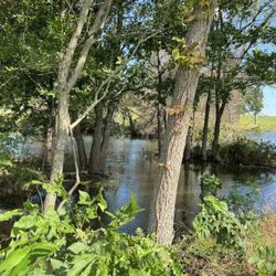 Bois D’Arc Lake Honey Cove