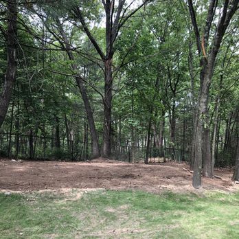 J. Reyes Landscaping - a wooded area with trees - Landscaping Near Me - Methuen, Massachusetts J. Reyes Landscaping - a wooded area with trees - Landscaping Near Me - Methuen, Massachusetts