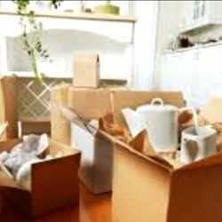 Will-Haul - Moving boxes and packing services available