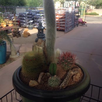 Civano Nursery Inc - Nurseries & Gardening Near Me - Tucson, Arizona Civano Nursery Inc - Nurseries & Gardening Near Me - Tucson, Arizona