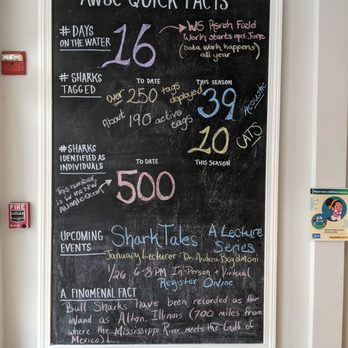 AWSC Shark Center Chatham - Fact - Community Service/Non-Profit Near Me - Chatham, Massachusetts AWSC Shark Center Chatham - Fact - Community Service/Non-Profit Near Me - Chatham, Massachusetts