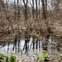 Photo of David Weld Sanctuary