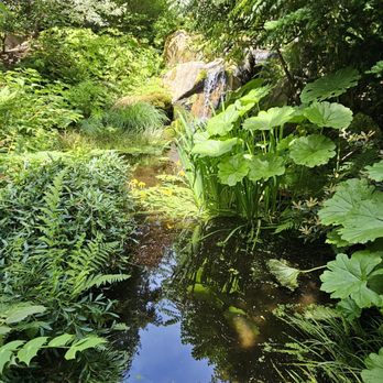 Bellevue Botanical Garden - Pond - Botanical Gardens Near Me - Bellevue, Washington Bellevue Botanical Garden - Pond - Botanical Gardens Near Me - Bellevue, Washington