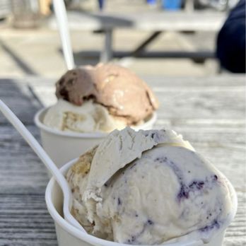 Harper's Ice Cream - PB&J + Carrot Cake (front), Space Brownie + Lemon Sponge Pie (back) - Ice Cream & Frozen Yogurt Near Me - Philadelphia, Pennsylvania Harper's Ice Cream - PB&J + Carrot Cake (front), Space Brownie + Lemon Sponge Pie (back) - Ice Cream & Frozen Yogurt Near Me - Philadelphia, Pennsylvania