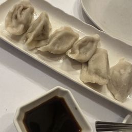 Sichuan Pork Dumpling with Roast Chili Sauce / 鐘水餃
