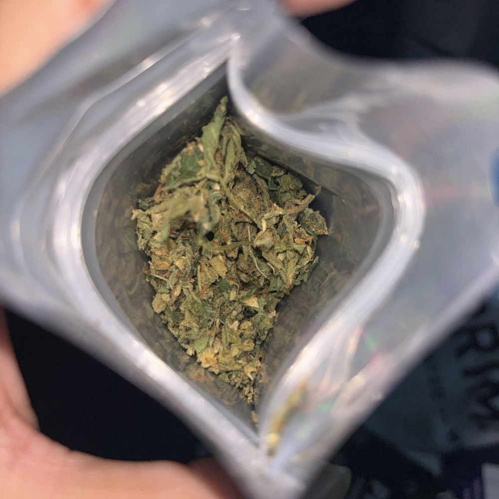 Primitiv Niles - All shake and not labeled - Cannabis Dispensaries Near Me - Niles, Michigan Primitiv Niles - All shake and not labeled - Cannabis Dispensaries Near Me - Niles, Michigan