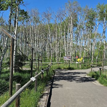 Yamnuska Wolfdog Sanctuary - There were paths between the many enclosures. - Tours Near Me - Cochrane, Alberta Yamnuska Wolfdog Sanctuary - There were paths between the many enclosures. - Tours Near Me - Cochrane, Alberta