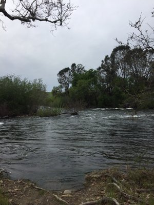 Avocado Lake Park by null