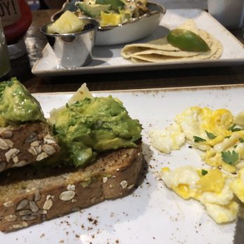 First Watch - Avocado Toast! - Cafes Near Me - Tempe, Arizona First Watch - Avocado Toast! - Cafes Near Me - Tempe, Arizona