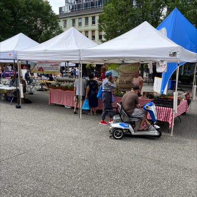 Market Square by null