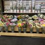 Photo of Publix Super Markets