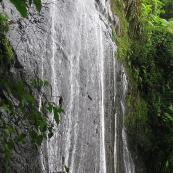 El Yunque Rainforest - Hiking Near Me - Luquillo, Puerto Rico
