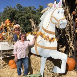 Jennifer Butts Murals & Art - My painted horse in his pumpkin patch environment