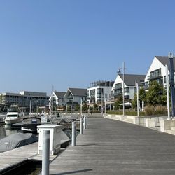 Friday Harbour