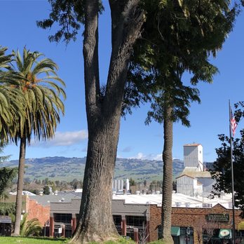 Risibisi - Petaluma vista from the park on the hill which is walking distance to the restaurant and a perfect sunny spot! - Italian Near Me - Petaluma, California Risibisi - Petaluma vista from the park on the hill which is walking distance to the restaurant and a perfect sunny spot! - Italian Near Me - Petaluma, California