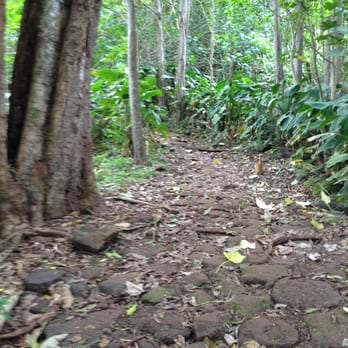 Likeke Falls - Cobblestone pathway - Hiking Near Me - Honolulu, Hawaii Likeke Falls - Cobblestone pathway - Hiking Near Me - Honolulu, Hawaii