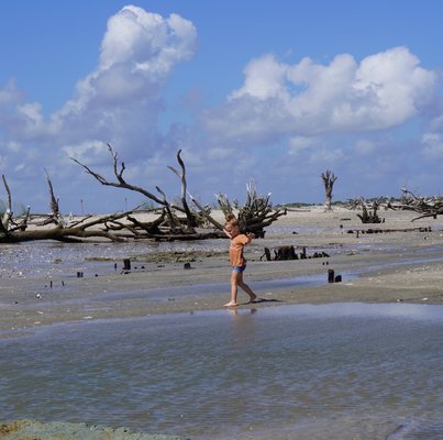 Botany Bay Heritage Preserve/Wildlife Management Area by null