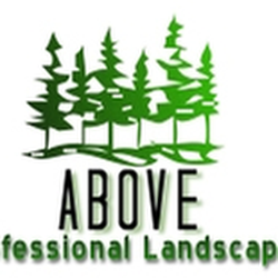 Above Professional Landscaping - untitled