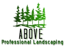 Above Professional Landscaping - tree service in Albuquerque, NM