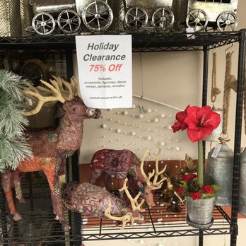 Cactus Flower Florists - Sale items - Florists Near Me - Carefree, Arizona Cactus Flower Florists - Sale items - Florists Near Me - Carefree, Arizona