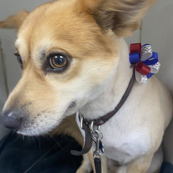 TAMI&rsquo;S TENDER TOUCH - Updated January 2025 - 62 Photos &amp; 94 