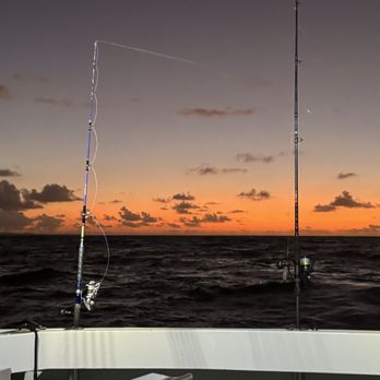 Hunt Fish Kauai - Archery Near Me - Eleele, Hawaii