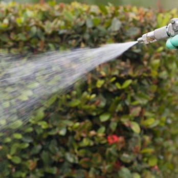 Hampton Roads Termite & Pest Control - Pest Control Near Me - Chesapeake, Virginia Hampton Roads Termite & Pest Control - Pest Control Near Me - Chesapeake, Virginia