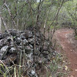 Pu'u O Mahuka Heiau State Monument - Walkway around temple