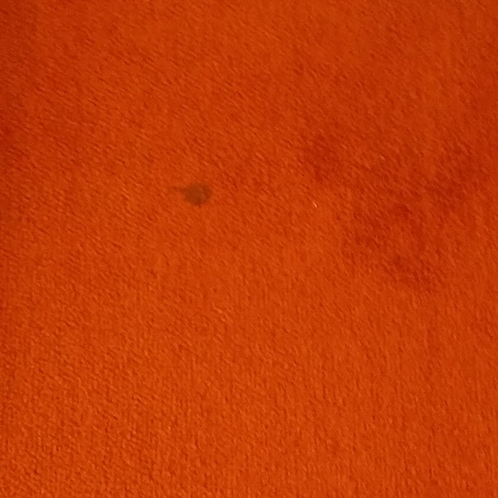 Paris Suites Hotel - More stains - Hotels Near Me - Corona, New York