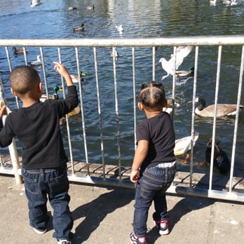 Refugio Valley Park - Feeding the ducks! - Parks Near Me - Hercules, California