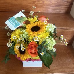 Gorgeous Golden Harmony - A bouquet featuring sunflowers, orange roses, white daisies, and hydrangeas arranged in a white container, placed on a wooden surface.