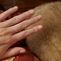 Nurse's Manicure,  Gel 01-17-2025