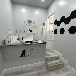 Alice's Pet Grooming