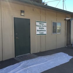 D & D Painting - The Ohlone Humane Society Wildlife Rehab center - painted by D&D