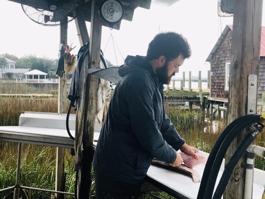 Abundant Seafood by null