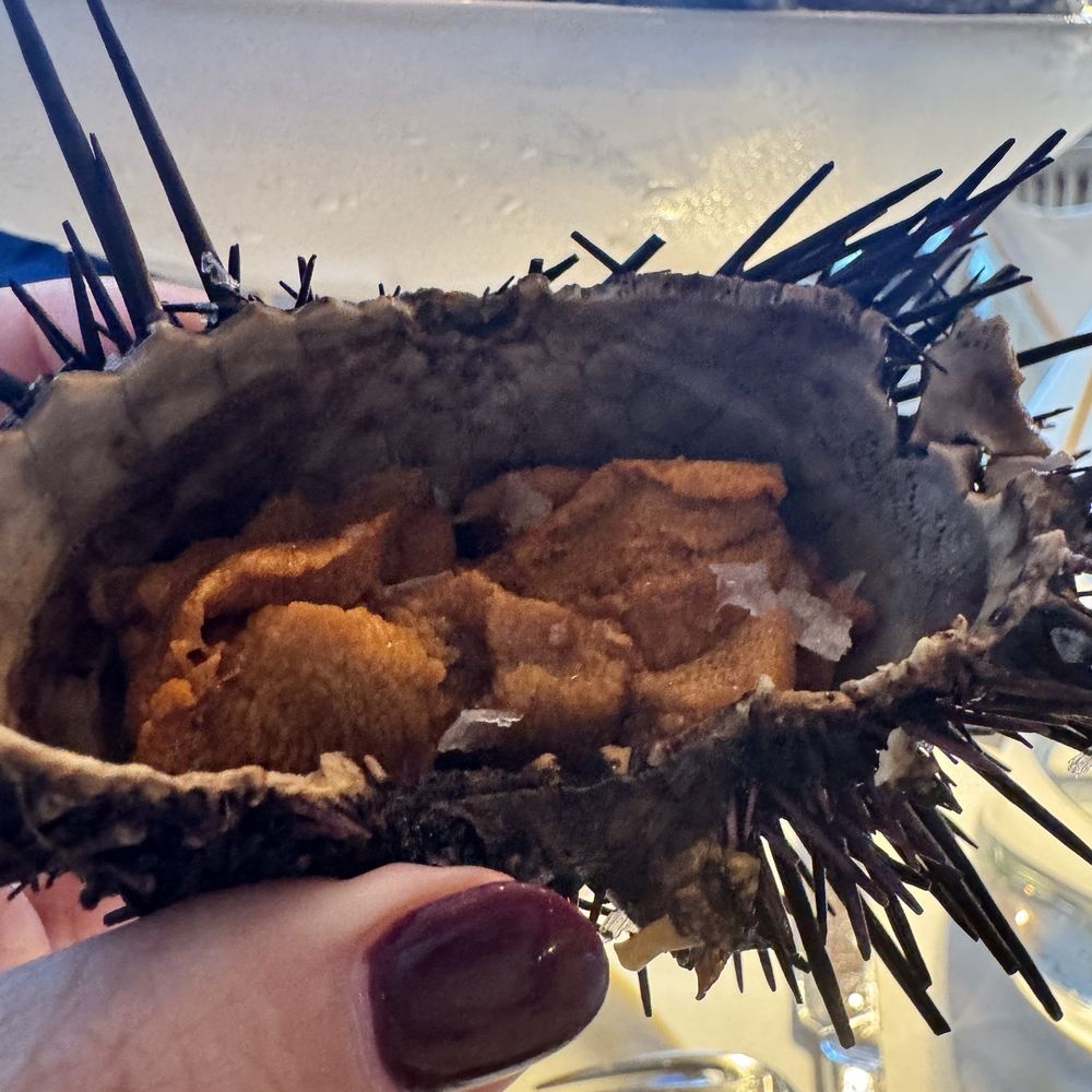 Tutto Mare - Uni - Mediterranean Near Me - Palm Beach, Florida