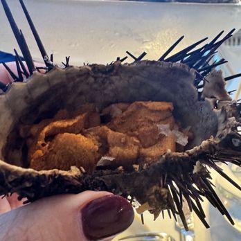 Tutto Mare - Uni - Mediterranean Near Me - Palm Beach, Florida