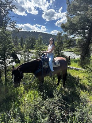 Jake's Horses Inc. by null