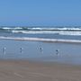 Photo of Padre Island National Seashore