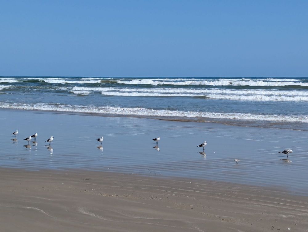 Padre Island National Seashore