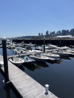 Pier 6 by null
