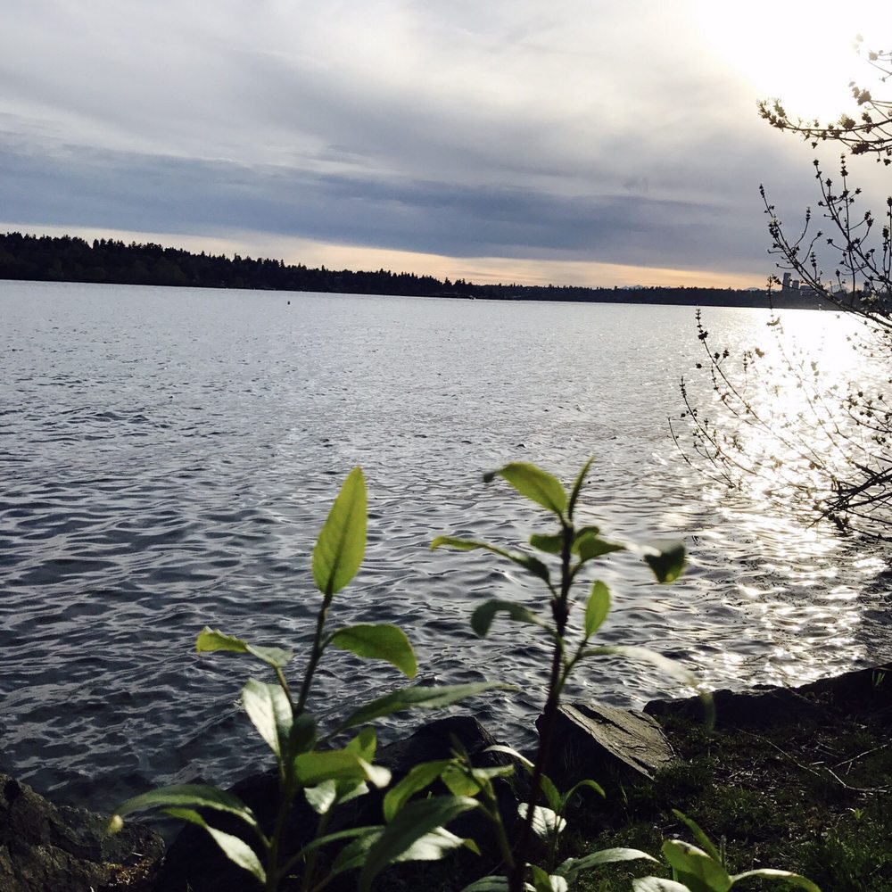 Chism Beach Park - Nice view - Parks Near Me - Bellevue, Washington Chism Beach Park - Nice view - Parks Near Me - Bellevue, Washington