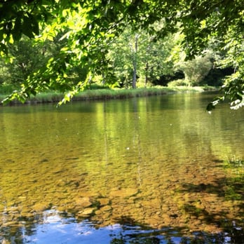 Pepacton Cabins - Private river access. Just 50 feet from our cabin. - Hotels Near Me - Downsville, New York