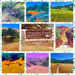 Montage of images from Fernandez Ranch