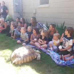 Kids completely engaged listening to The Reptile Man