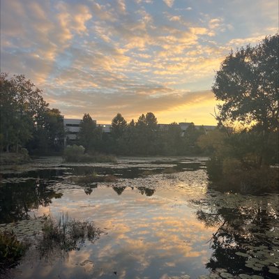 BRICK POND PARK - Updated January 2026 - 52 Photos & 15 Reviews - 16-98